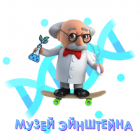 Музей занимательных наук Эйнштейна г. Ярославль